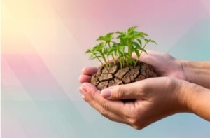 hva er lead nurturing